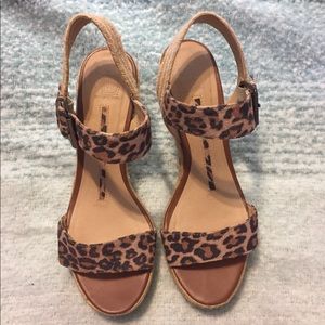 New Directions wedges